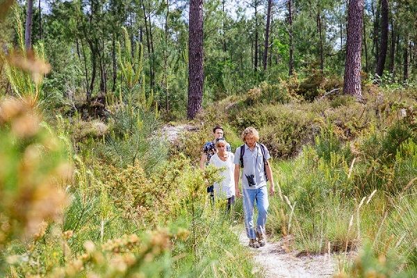 Balade nature gironde hostens