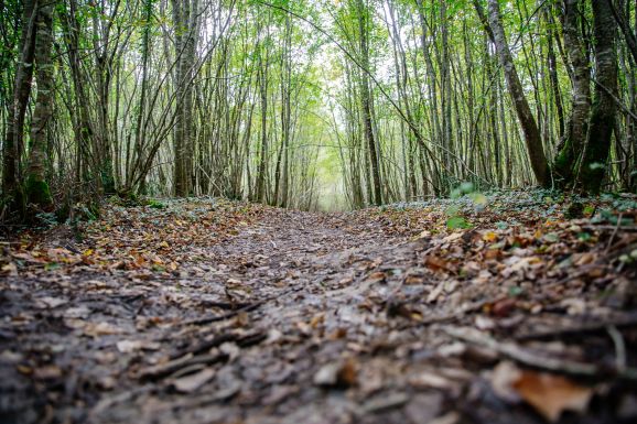 Week-end in the countryside with family