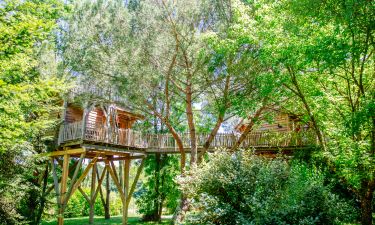 Take a break in a Tree House "Palombi&egrave;re" in Gironde in Domaine Ec&Ocirc;telia